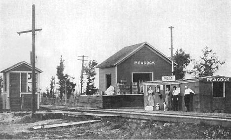 Peacock MI Depot